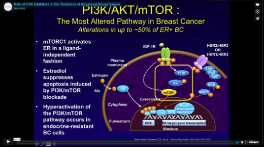 the_role_of_cdk_inhibitors_in_the_treatment_of_advanced_breast_cancer_webinar