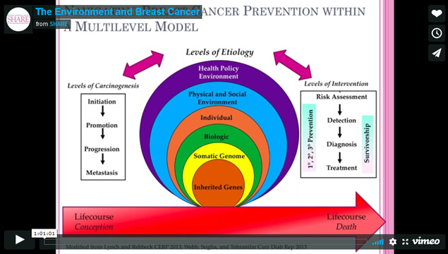 the_enviornment_and_breast_cancer_webinar