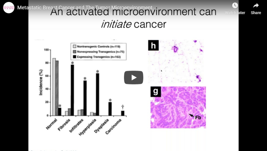 Metastatic Breast Cancer and The Tumor Microenvironment